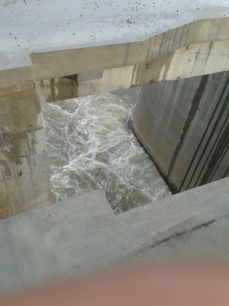 ���̰���